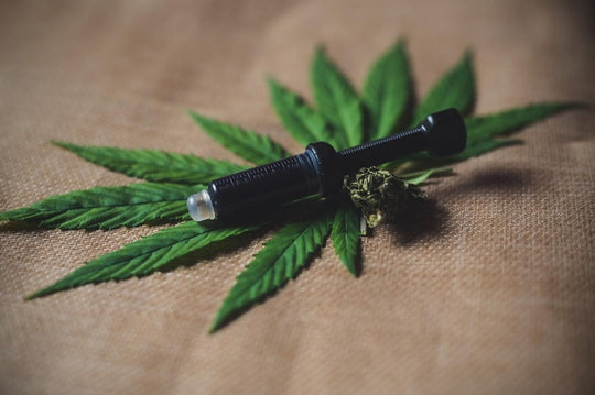 CBD Oil vs Hemp Oil: Every Difference That Matters