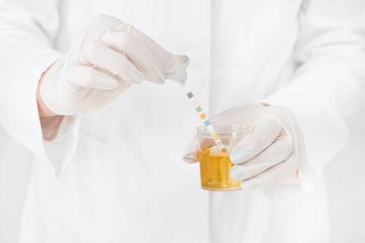 Will I Pass a Drug Test if I Use CBD?