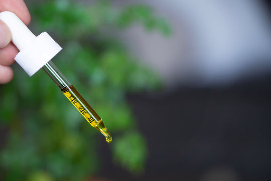 CBD & Bioavailability