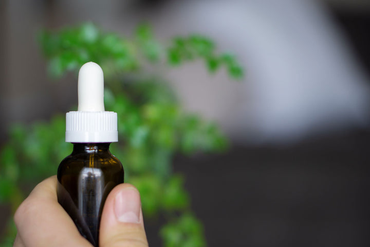 How is CBD Oil Extracted?
